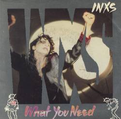 INXS : What You Need (Single)